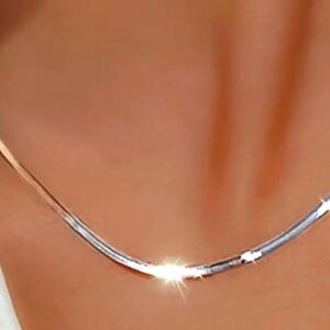 Stainless Steel Flat Snake Chain